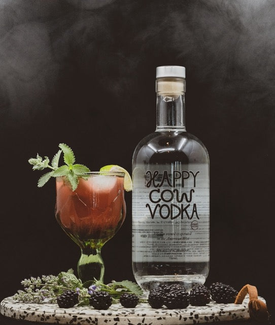 High Noon Punch – A Bright, Bold Berry Vodka Smash